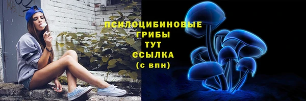 прущие крисы Верея