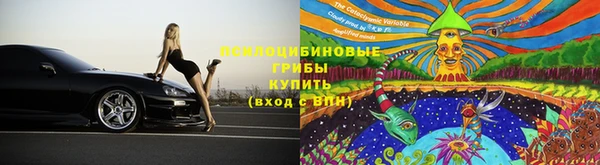 прущие крисы Верея