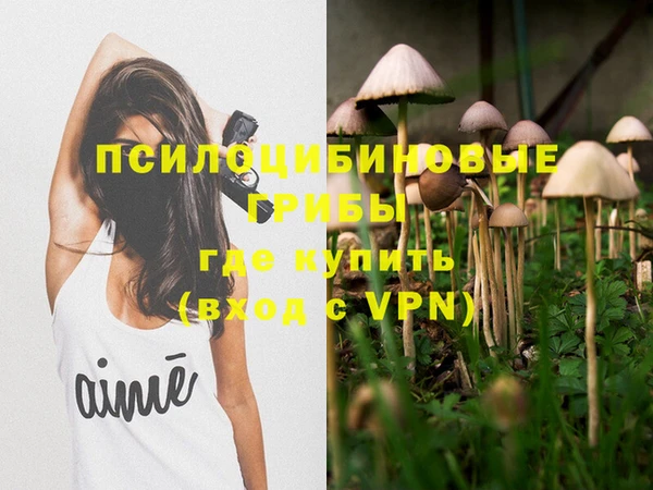 прущие крисы Верея
