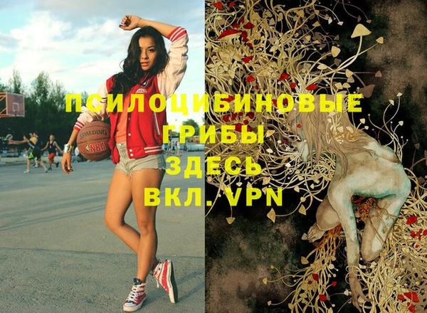 MDMA Верхний Тагил