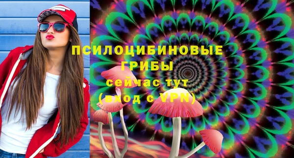 мет Богданович