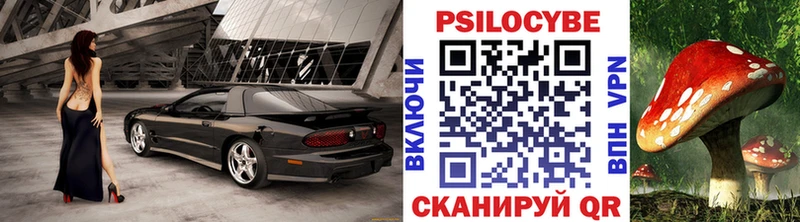 это Telegram  Таруса  Галлюциногенные грибы Magic Shrooms  как найти наркотики 